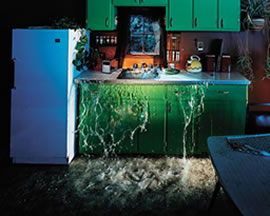Flood, fire, and mold restoration tips
